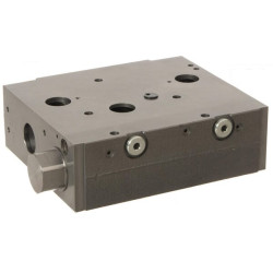 Bazinis modulis PVB 11165621 PVG12811165621