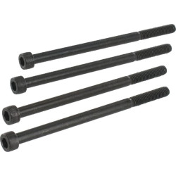 Varžtų rinkinys, M6X100 (4) NG10 KREV96100