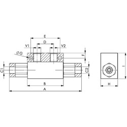 Atbulinis vožtuvas 1/4 BSP FPD03001