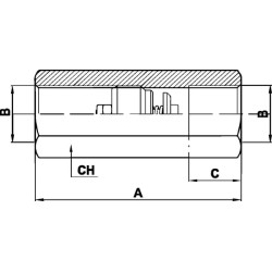 Žarnos trūkimo vožtuvas F-08-S-90L/min 1/2 HBV10002