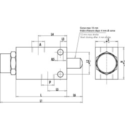 Ribinis vožtuvas VF-NA, G3/8" C056V0817