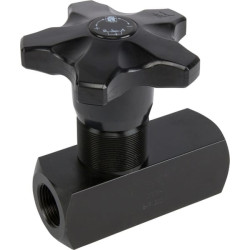 Droselio atbulinis vožtuvas FT2575100MP