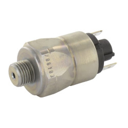 Stūmimo jungiklis, 10–100 barų, thr 1/4 0170461031012