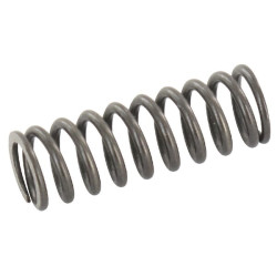 Spyruoklė VPR3ET-VMP 0-80 bar VPR39VTV