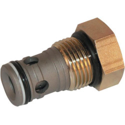 Atbulinis vožtuvas CP101-1-B-0-005 CP1011B0005