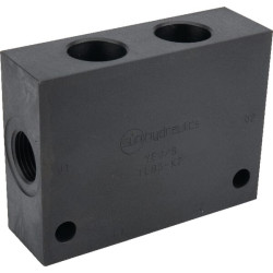 YEV-S 2 T11A korpusas, 1/2" BSP YEVS2T11A