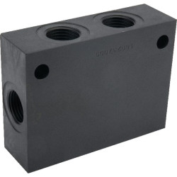 YEV-S 2 T11A korpusas, 1/2" BSP YEVS2T11A