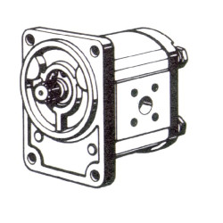 Krumpliaratinis siurblys AZPF-11-011RFB20MB Bosch Rexroth 0510525010