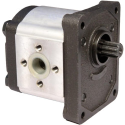 Krumpliaratinis siurblys AZPF-11-011RFO30MB Bosch Rexroth 0510525024