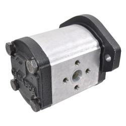 Siurblys PLP20.25-D0-07S1-LEB/EA-N-FS PLP2025D007S1