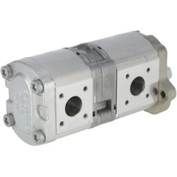 Krumpliaratinis siurblys AZPFF-22-018/008LHXXXXXXKB-S0573 0510665497