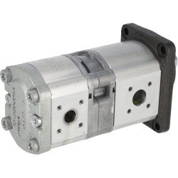 Krumpliaratinis siurblys AZPFF-10-016/005RCB2020MB 0510665020