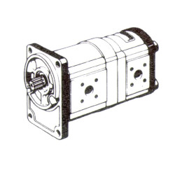 Krumpliaratinis siurblys AZPFF-11-019/011LFB2020MB Bosch Rexroth 0510665375