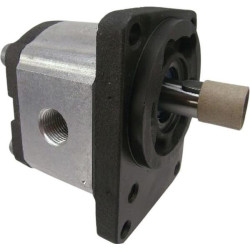 Krumpliaratinis siurblys AZPF-11-008RAB01MB Bosch Rexroth 0510425044