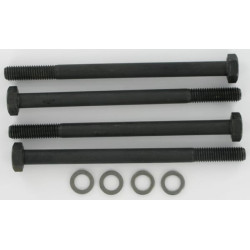 Atraminiai varžtai Polaris 20 M10x145 PLP920M10145