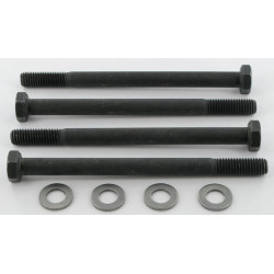 Tvirtinimo varžtai Polaris 10 M8x110 PLP910M8110