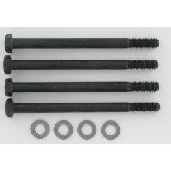 Tvirtinimo varžtai Polaris 10 M8x115 PLP910M8115