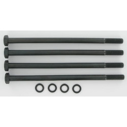 Atraminiai varžtai polaris 20 M10x200 PLP920M10200