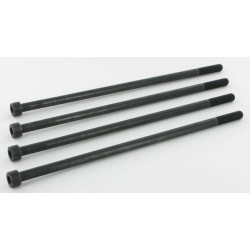 Tvirtinimo varžtai Polaris 10 M8x220 PLP910M8220