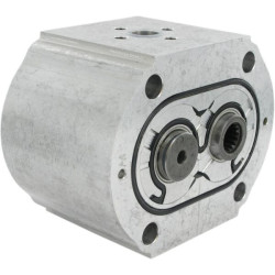 Tandeminis siurblys PLP30.43-D0-65-M6-LED/EB-N-I-FS PLP3043DII