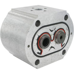 Tandeminis siurblys PLP30.43-D0-65-M6-LED/EB-N-I-FS PLP3043DII