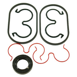 Sandarinimo komplektas PLP20-B1E2-8 PLP920B1E2AFD