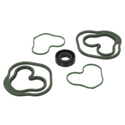 Sandarinimo komplektas, gopart 10 C18E GP910C18E