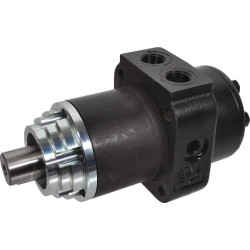 Ratų variklis, veleno Ø 1", nuotėkis OMPW1601517163