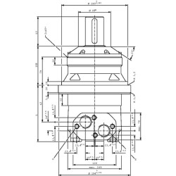 Ratų variklis, velenas Ø50 lygiagretus OMVW40011024332
