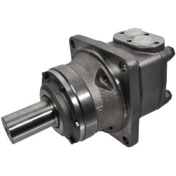 Ratų variklis, velenas Ø50 lygiagretus OMVW400151B3116