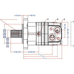 Orbitinis variklis, velenas 1,25" Z14 OMS100151F2325