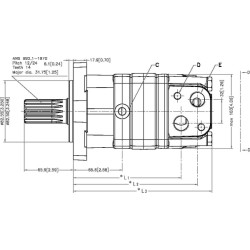 Orbitinis variklis, velenas 1-1/4", Z14 OMS80151F0507