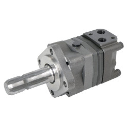 Orbitinis variklis, velenas 1 3/8" Z6 OMS100151F0561