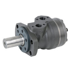 Orbitinio variklio RVS velenas OMRC801511232