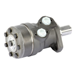 Orbitinis variklis, velenas Ø32.2H, išleidimo anga OMR1601510244