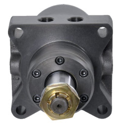 Ratų variklis, velenas Ø1 1/4" kūginis OMRW2001516867