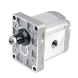 11 cm³/U tipo pavarų variklis, 1/2"BSP SM2A11RE10G12