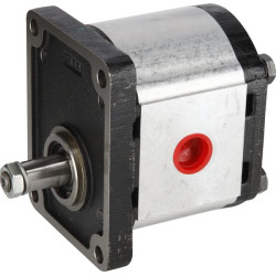 Pavarų variklis PLM30.27R0-83E3-LGE PLM3027R083E3GE