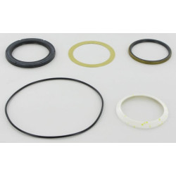 Sandarinimo komplektas CHAR LYNN 4000 SERI 1099AFD