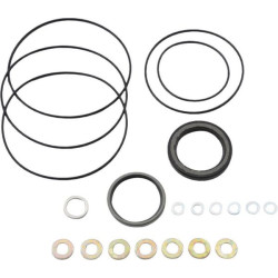 Sandarinimo komplektas 151-1166 OMR9AFD32