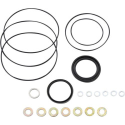 Sandarinimo komplektas 151-1166 OMR9AFD32