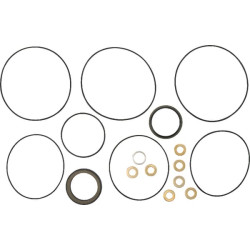 Sandarinimo komplektas 151-1296 OMP/R serija OMR9AFD327