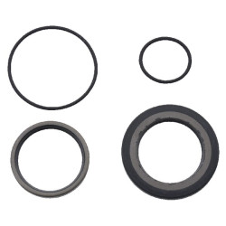 Sandarinimo komplektas OMS/VITON 151F OMS9AFDV