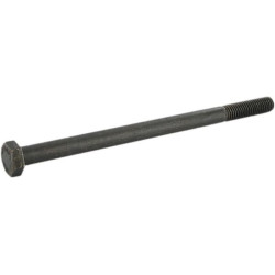 Varžtas M10x160 TBV OMSW 315 OMSW9315BOUT