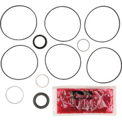 Sandarinimo komplektas Parker TE SK000090