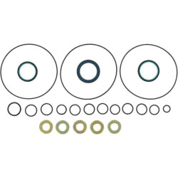 OSPM 150L4054 sandariklių komplektas OSPM9AFD