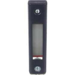 Alyvos lygio matuoklis su termometru P171922