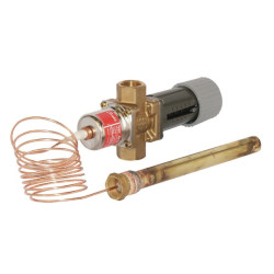 Termostato vožtuvas AVTA 20 3/4 AVTA20