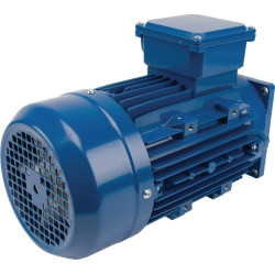 Elektrinis variklis 1,50 kW 1500 aps./min. 400 V EM90L4MPP300IE3