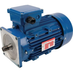 Elektrinis variklis 1,50 kW 1500 aps./min. 400 V EM90L4MPP300IE3